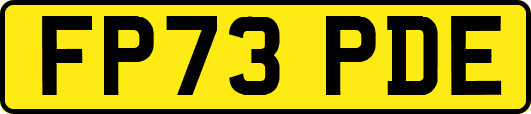 FP73PDE