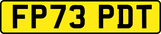 FP73PDT
