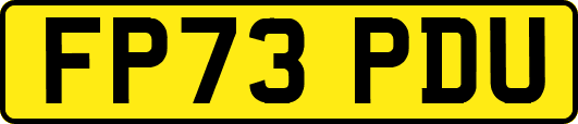 FP73PDU