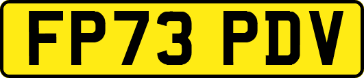 FP73PDV
