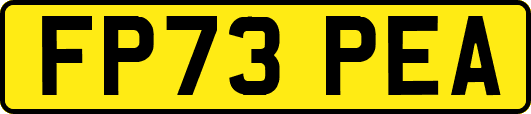 FP73PEA