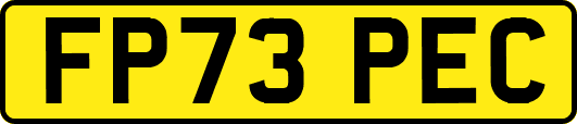 FP73PEC
