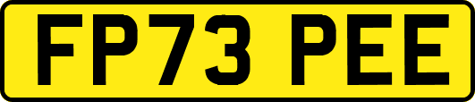 FP73PEE