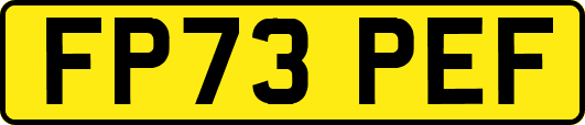 FP73PEF
