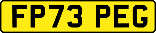 FP73PEG