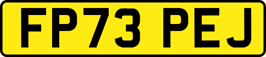 FP73PEJ
