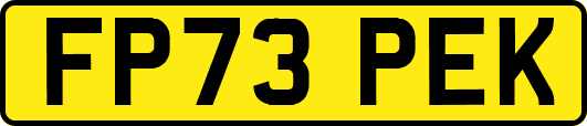 FP73PEK