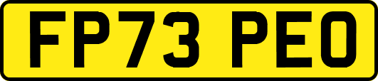 FP73PEO