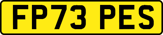 FP73PES