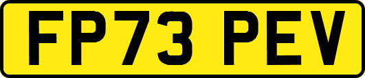 FP73PEV