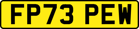FP73PEW