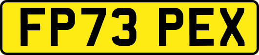 FP73PEX