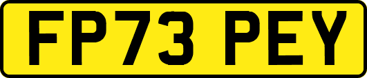 FP73PEY