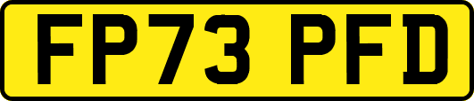 FP73PFD