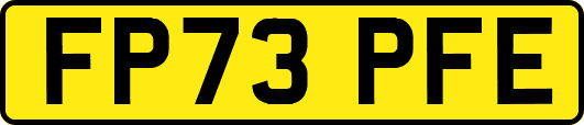 FP73PFE