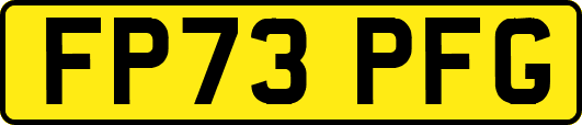 FP73PFG