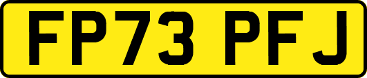 FP73PFJ