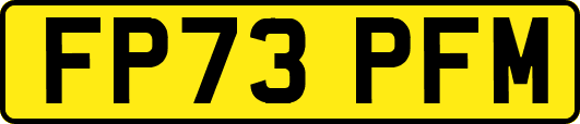 FP73PFM