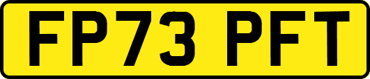 FP73PFT