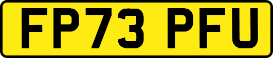 FP73PFU