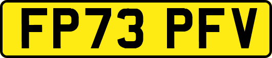 FP73PFV
