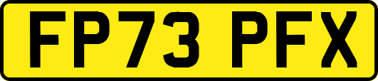 FP73PFX
