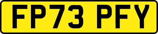 FP73PFY