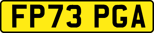 FP73PGA