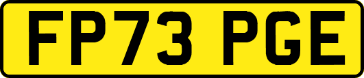 FP73PGE