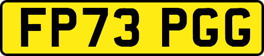 FP73PGG