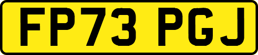 FP73PGJ