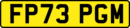 FP73PGM