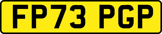 FP73PGP