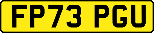 FP73PGU