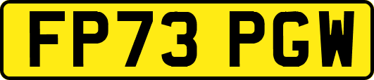 FP73PGW
