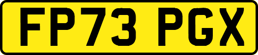 FP73PGX