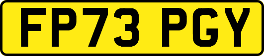 FP73PGY