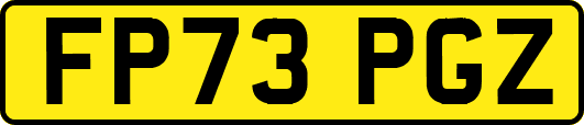 FP73PGZ