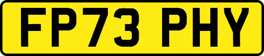 FP73PHY