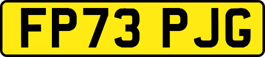 FP73PJG