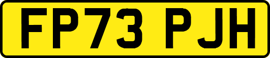 FP73PJH