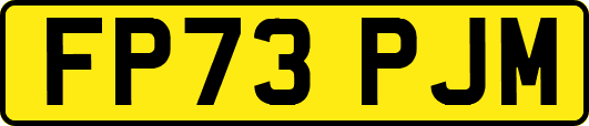 FP73PJM