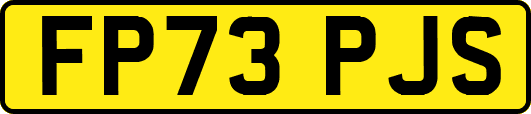 FP73PJS