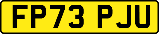 FP73PJU