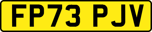 FP73PJV