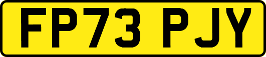 FP73PJY