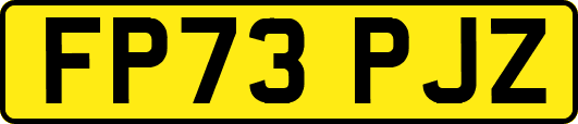 FP73PJZ