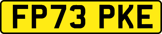 FP73PKE