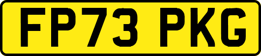 FP73PKG