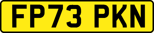 FP73PKN